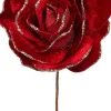 Intratuin kerstbloem roos rood D 20 H 11 cm