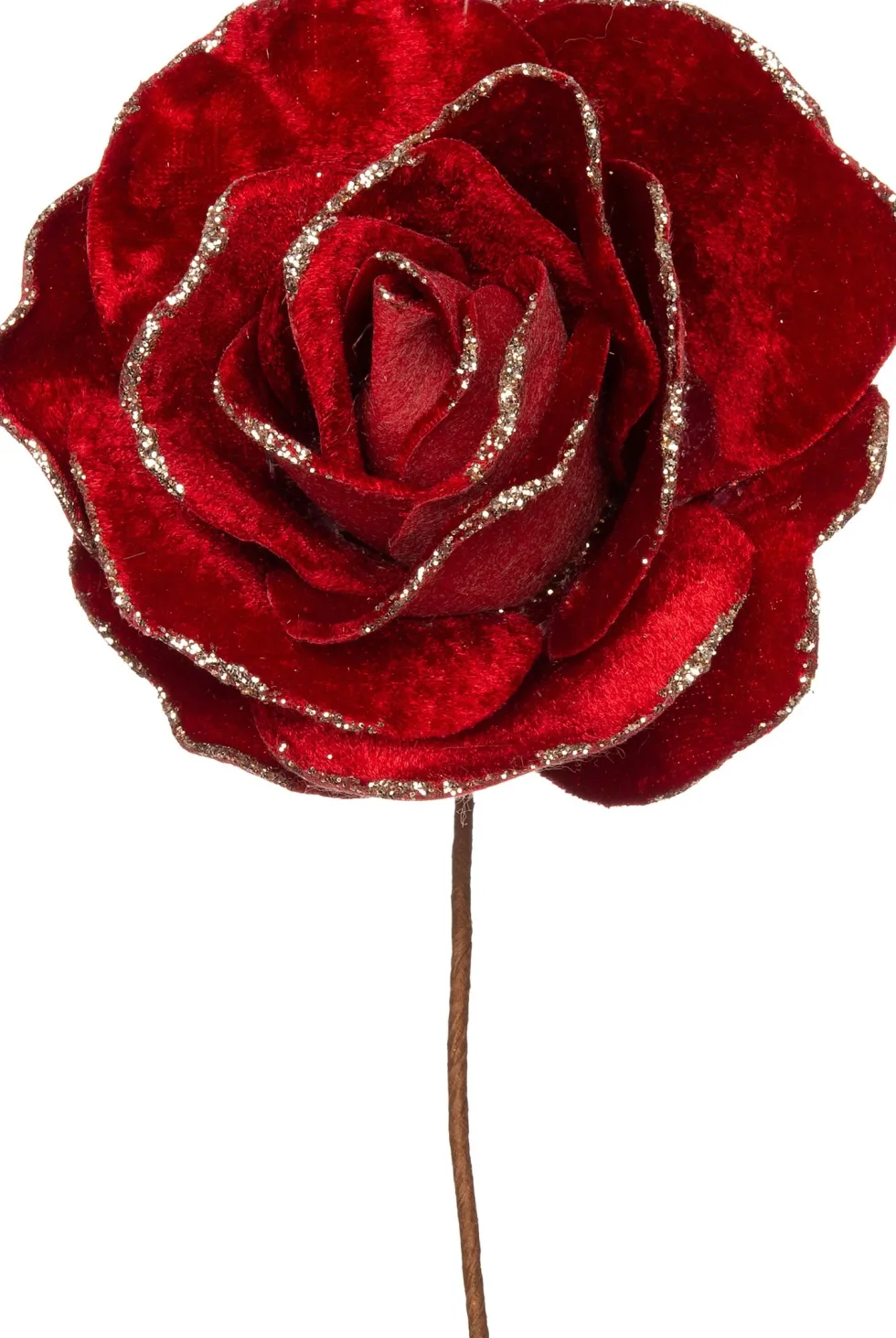 Intratuin kerstbloem roos rood D 20 H 11 cm