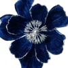 Intratuin kerstbloem Rosy blauw D 20 cm
