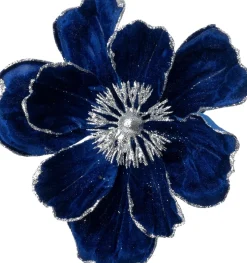 Intratuin kerstbloem Rosy blauw D 20 cm