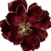 Intratuin kerstbloem Rosy paars D 20 cm