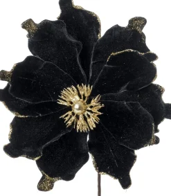 Intratuin kerstbloem Spirit zwart D 20 cm