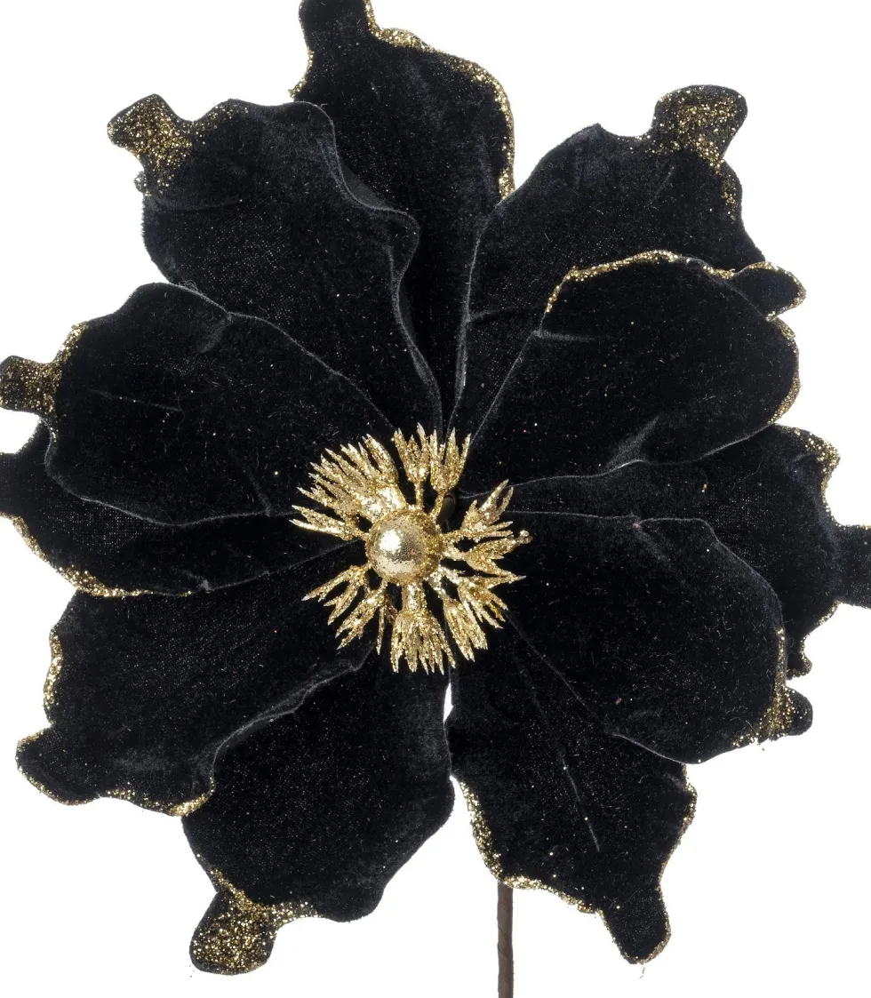 Intratuin kerstbloem Spirit zwart D 20 cm