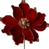 Intratuin kerstbloem Spirit rood D 20 cm