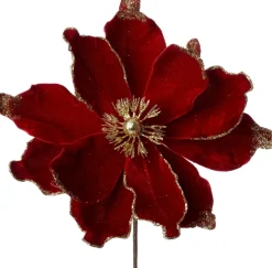 Intratuin kerstbloem Spirit rood D 20 cm