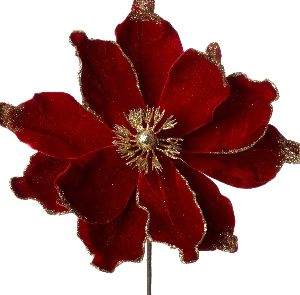 Intratuin kerstbloem Spirit rood D 20 cm