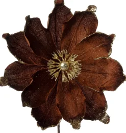 Intratuin kerstbloem Spirit bruin D 20 cm