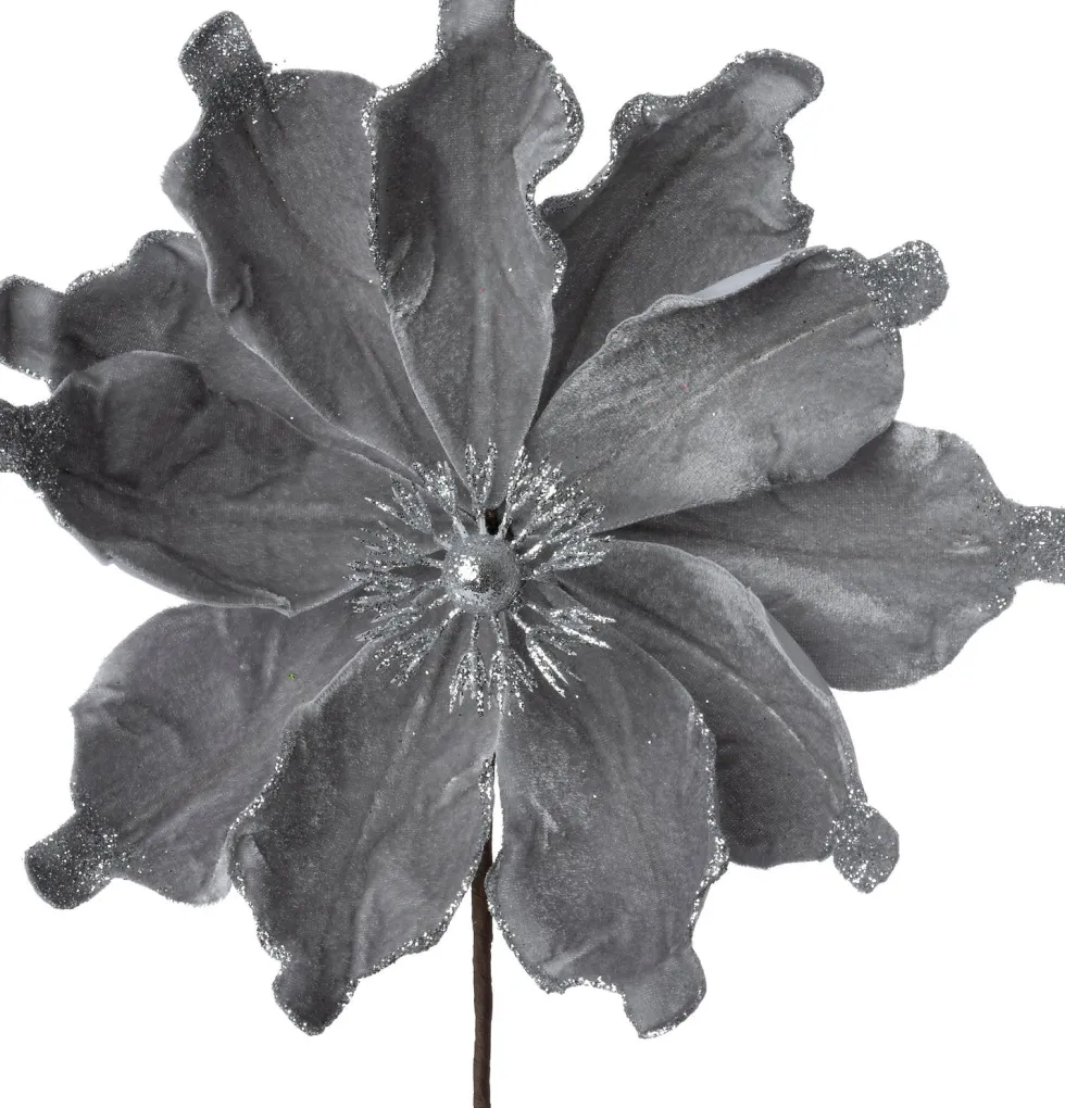 Intratuin kerstbloem Spirit grijs D 20 cm