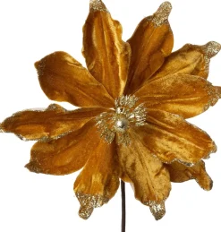 Intratuin kerstbloem Spirit goud D 20 cm