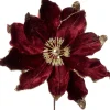 Intratuin kerstbloem Spirit paars D 20 cm