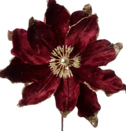 Intratuin kerstbloem Spirit paars D 20 cm
