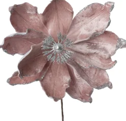 Intratuin kerstbloem Spirit roze D 20 cm