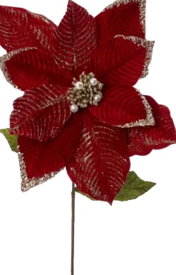 Intratuin kerstbloem Troka rood 70 cm