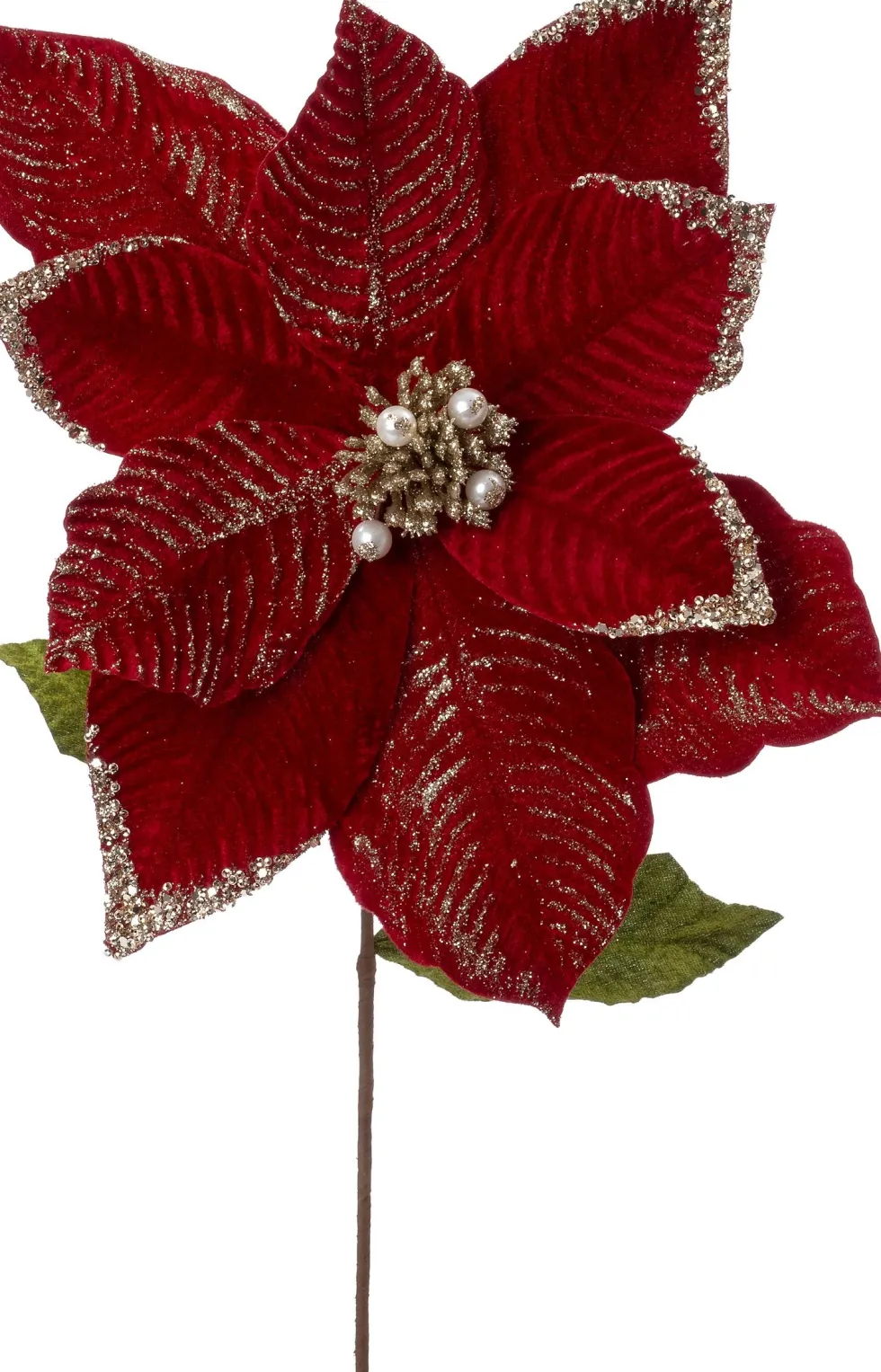 Intratuin kerstbloem Troka rood 70 cm