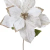 Intratuin kerstbloem Troka wit 70 cm