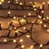 Intratuin kerstboomverlichting ivy met 2000 lampjes light gold 42 m