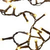 Intratuin kerstboomverlichting ivy met 700 lampjes light gold 16 m