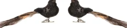 Intratuin kerstclip Avia vogel zwart 17 x 5 x 5,5 cm 2 stuks