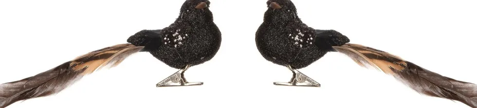 Intratuin kerstclip Avia vogel zwart 17 x 5 x 5,5 cm 2 stuks