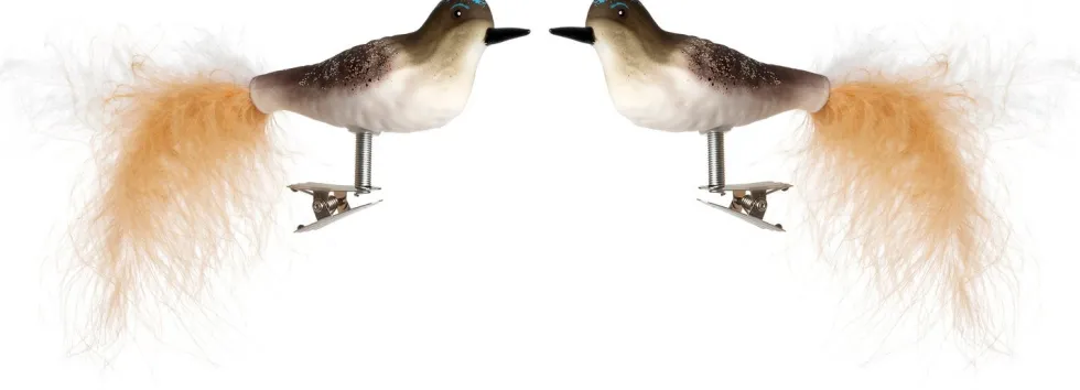 Intratuin kerstclip Bira vogel bruin / wit 15 x 8 x 5 cm 2 stuks