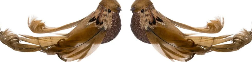 Intratuin kerstclip Joze vogel bruin 13 x 4 x 5 cm 2 stuks