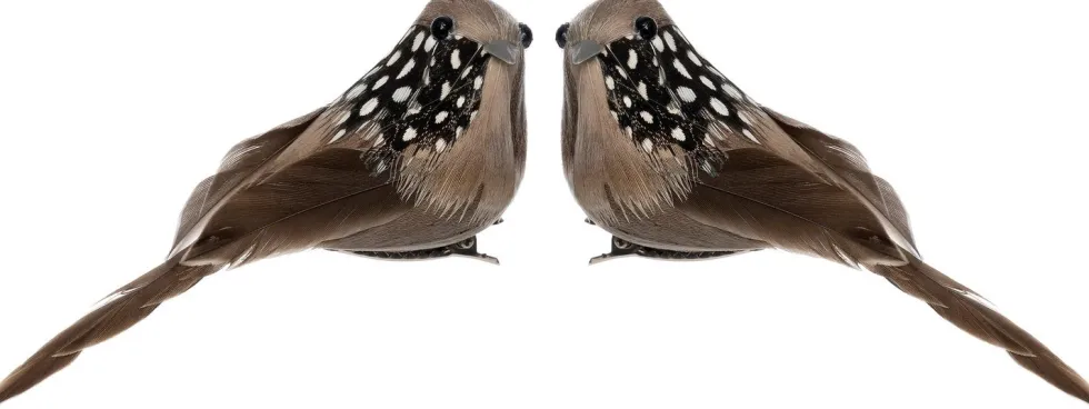 Intratuin kerstclip Joze vogel bruin stippen 10 x 4 x 5 cm 2 stuks