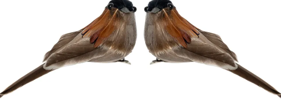 Intratuin kerstclip Joze vogel donker bruin 10 x 4 x 5 cm 2 stuks