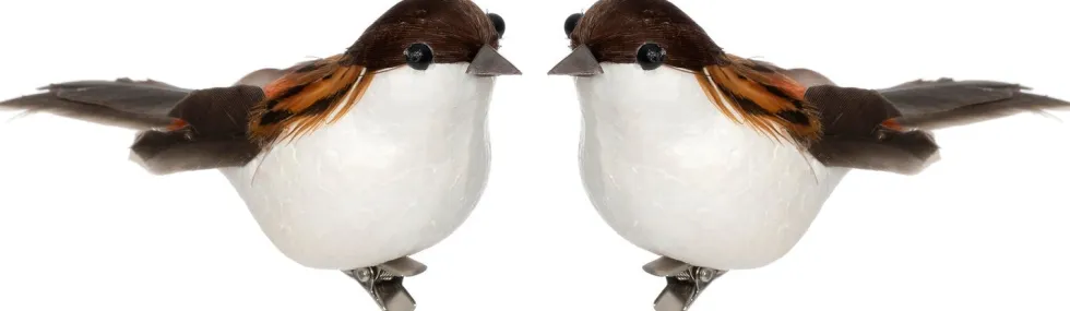 Intratuin kerstclip Joze vogel wit / bruin 13 x 5 x 5 cm 2 stuks