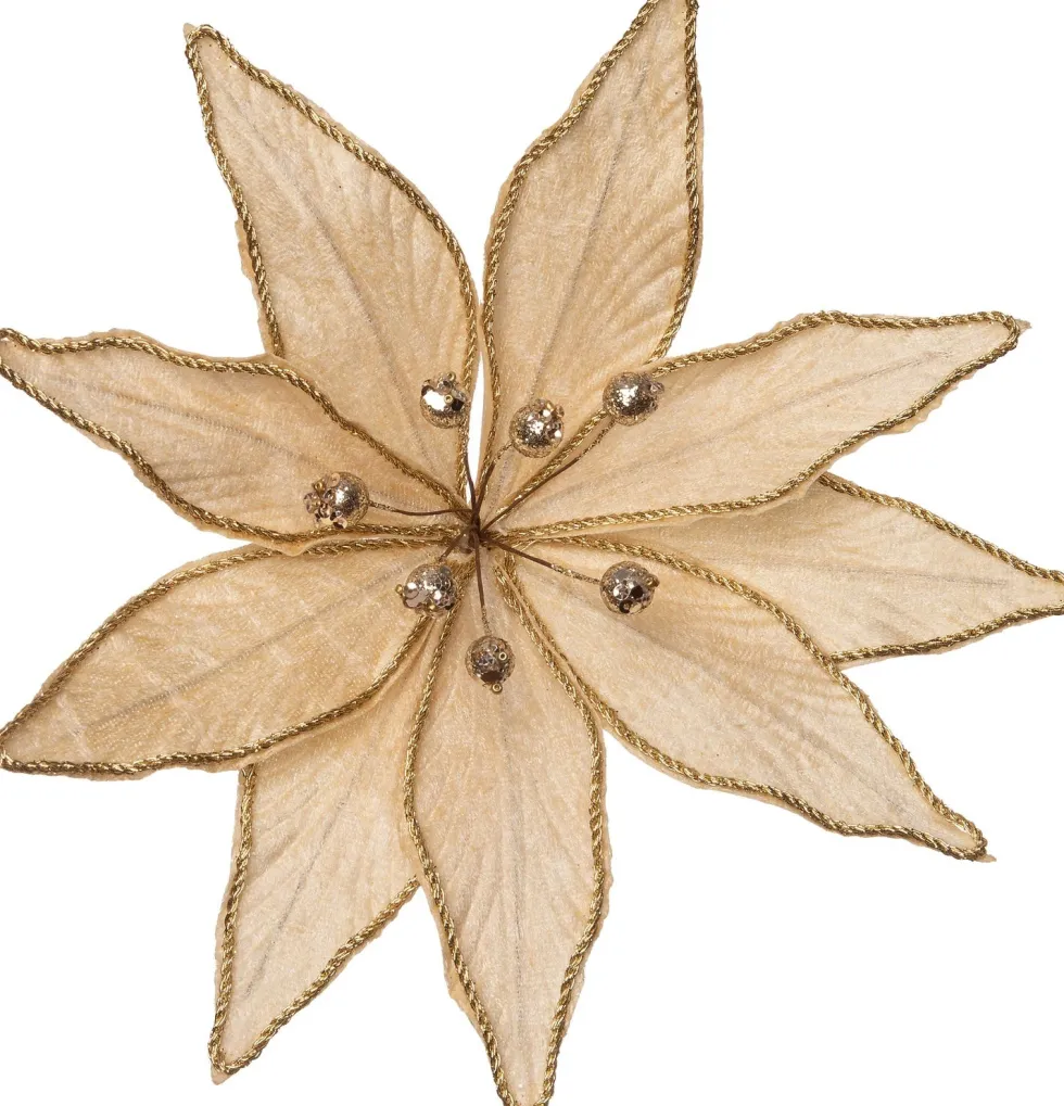 Intratuin kerstclip kerstroos crème D 20 cm