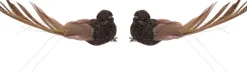 Intratuin kerstclip Madar vogel bruin 12,7 x 10 x 5 cm 2 stuks