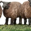 Intratuin kerstdorpminiatuur schapen bruin 5,8 x 7,8 x 3,2 cm