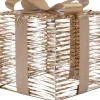 Intratuin kerstfiguur Iris cadeau goud met verlichting 50 x 50 x 58 cm