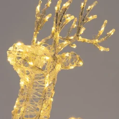 Intratuin kerstfiguur rendier met verlichting 54 x 30 x 68 cm