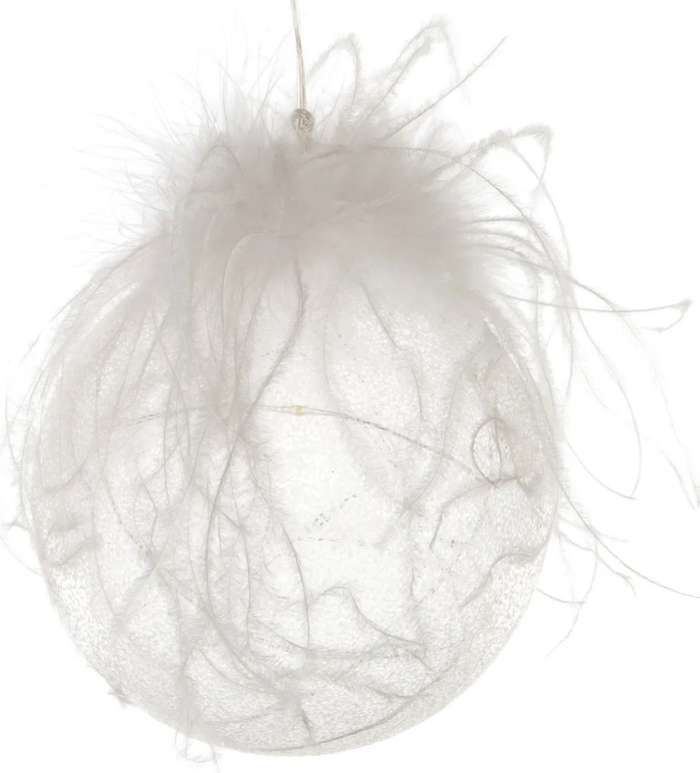 Intratuin kersthanger bal met LED en veren D 12 cm