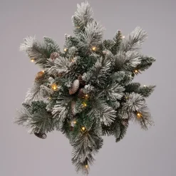Intratuin kersthanger Ster besneeuwd 30 lampjes warm wit D 60 H 18 cm