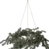 Intratuin kerstkrans kroonluchter besneeuwd met 30 lampjes warm wit D 70 cm