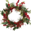 Intratuin kerstkrans met bladeren en bessen D 56 H 10 rood groen