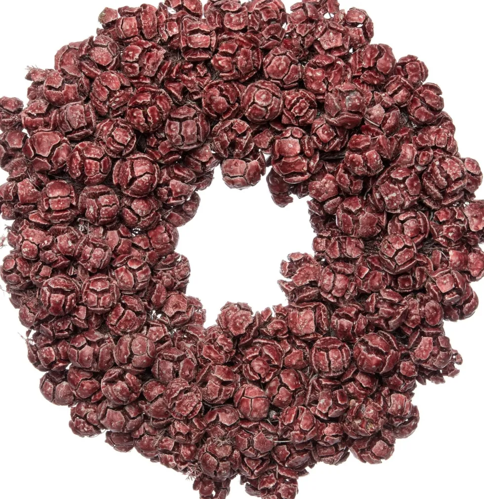 Intratuin kerstkrans van cipreskegels wax overgoten D 35 cm bordeaux