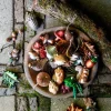 Intratuin kerst ornament egel bruin 6 x 4,5 x 4,5 cm