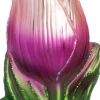 Intratuin kerst ornament tulp roze 6,1 x 4,7 x 11,2 cm
