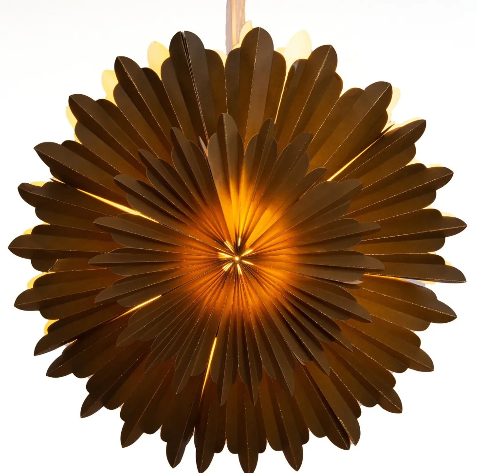 Intratuin Kerstster D 50 cm goud groen
