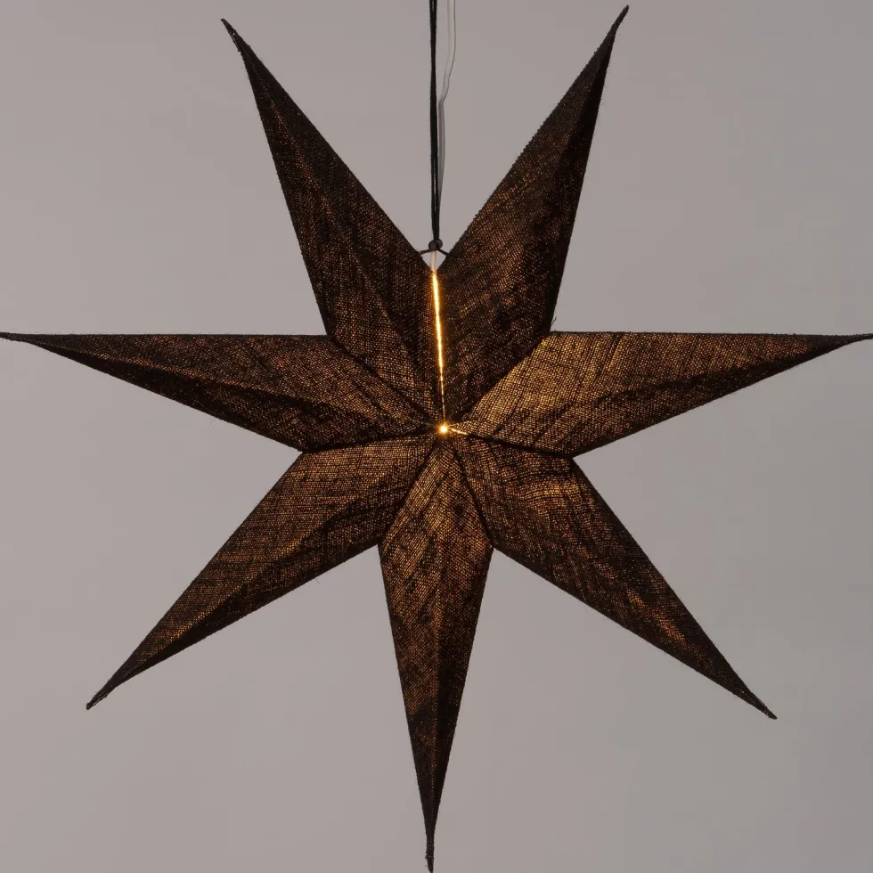 Intratuin kerstster met verlichting Djema zwart D 60 cm