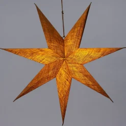 Intratuin kerstster Nula bruin met verlichting D 75 cm