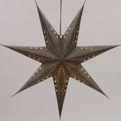 Intratuin kerststerren met verlichting zilver 15 x 60 x 60 cm
