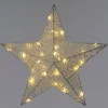 Intratuin kerstster wit met verlichting D 40 H 9 cm