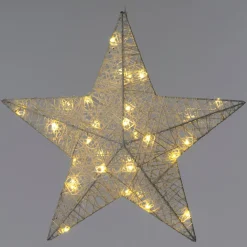 Intratuin kerstster wit met verlichting D 40 H 9 cm