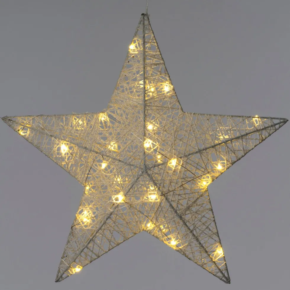 Intratuin kerstster wit met verlichting D 40 H 9 cm