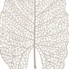 Intratuin kersttak Alocasia met glitter wit 48 cm