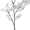 Intratuin kersttak bessen wit 72 cm