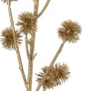 Intratuin kersttak distel goud 74 cm